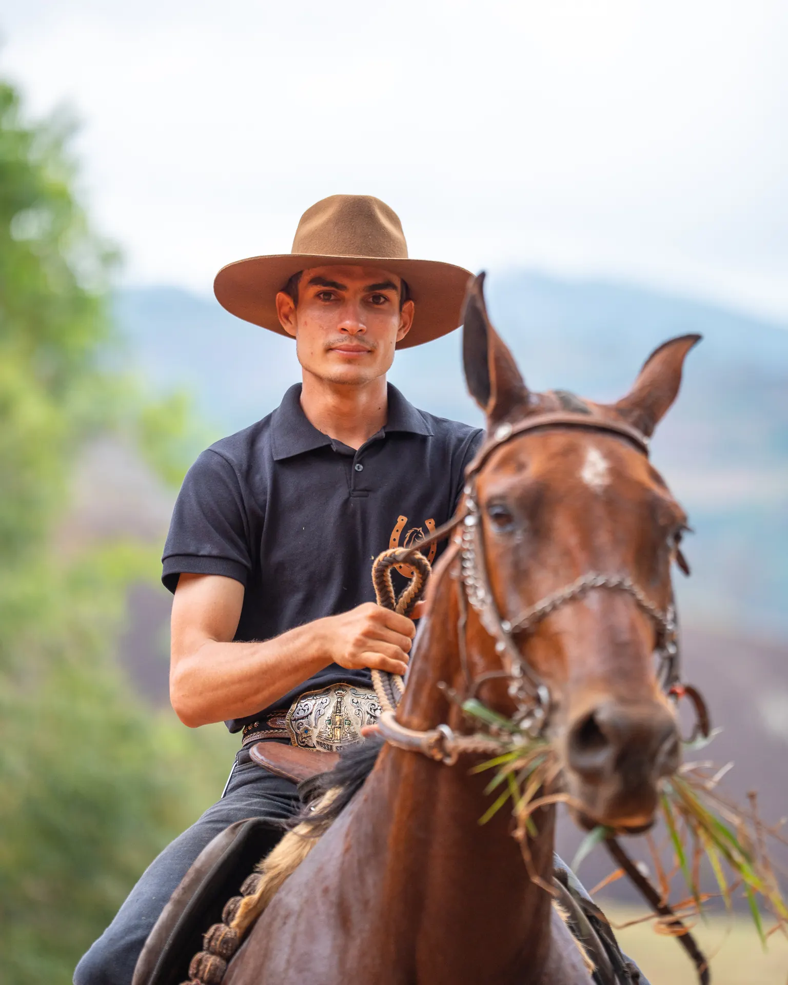 Cavaleiro em cavalgada, por Haluma